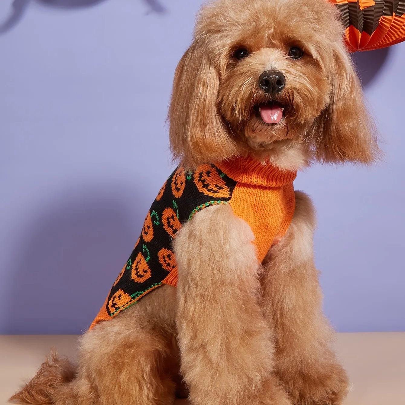 halloween dog sweater - basil boutique