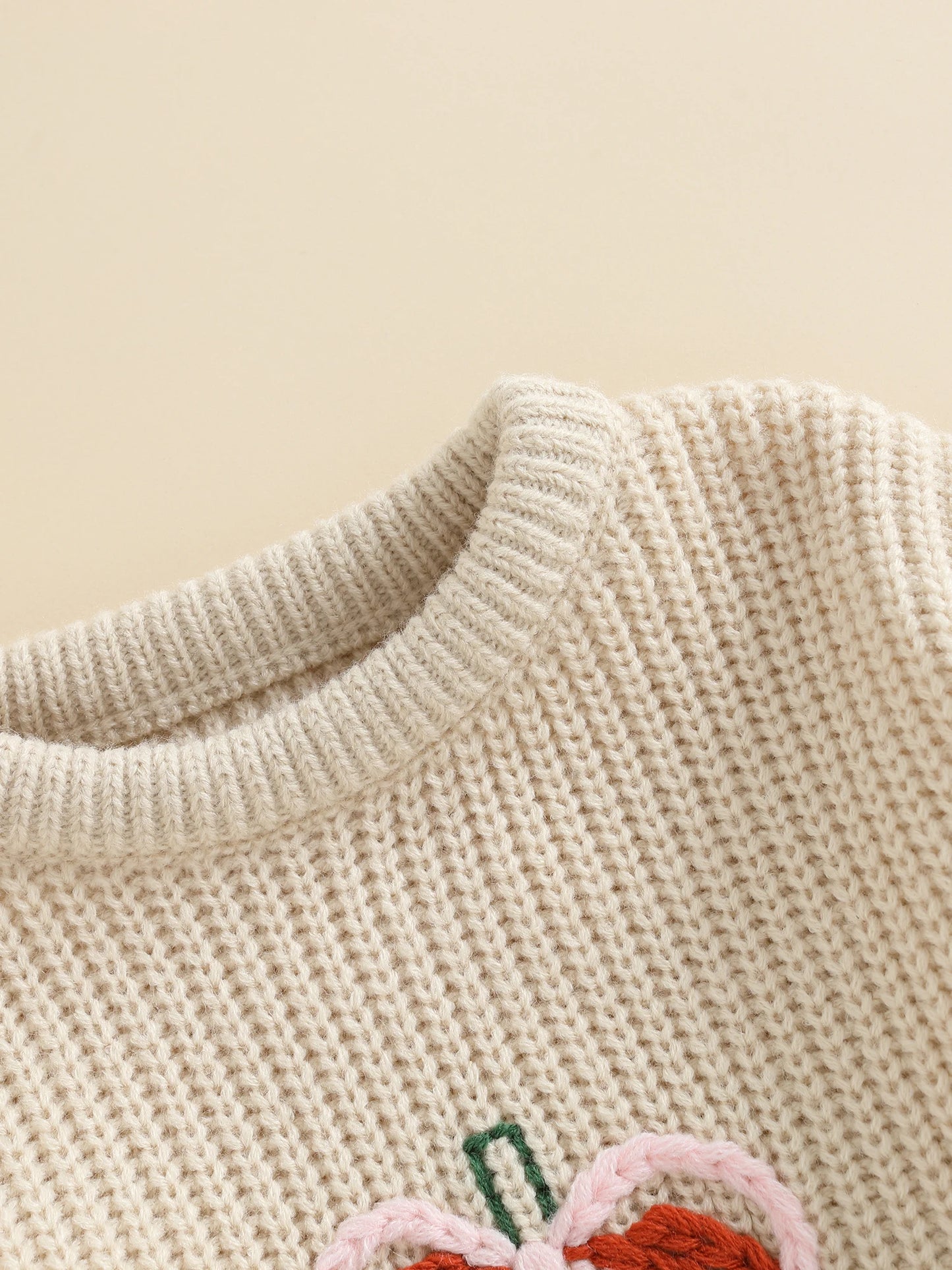 pretty pumpkin kids crew sweater