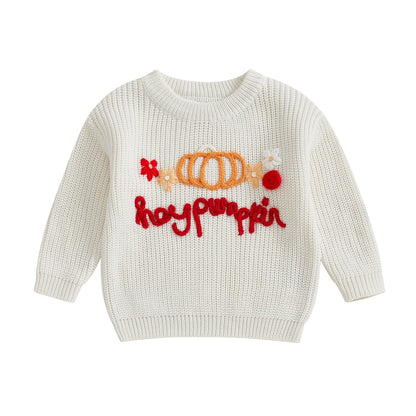 hey pumpkin kids crew sweater