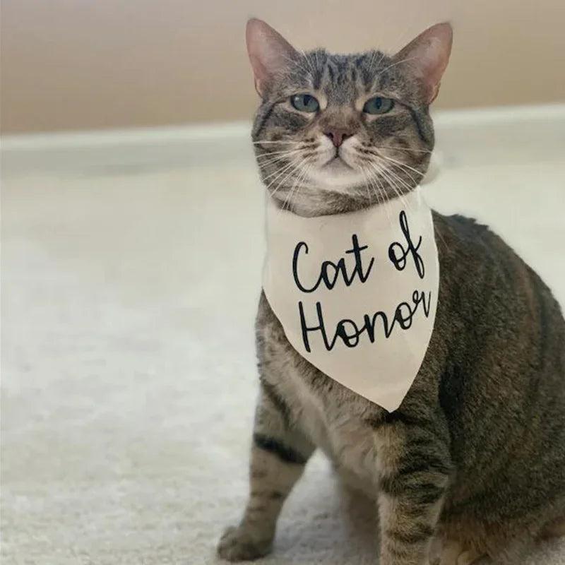 cat of honor bandana - basil boutique