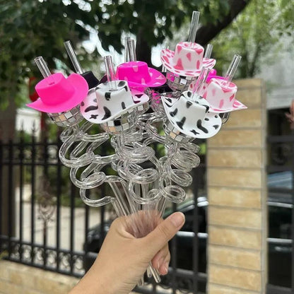 cowgirl disco reusable straws - basil boutique