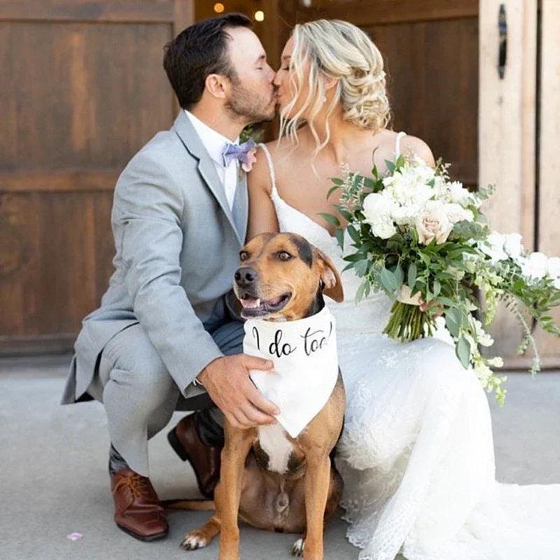 i do too doggy bandana - basil boutique