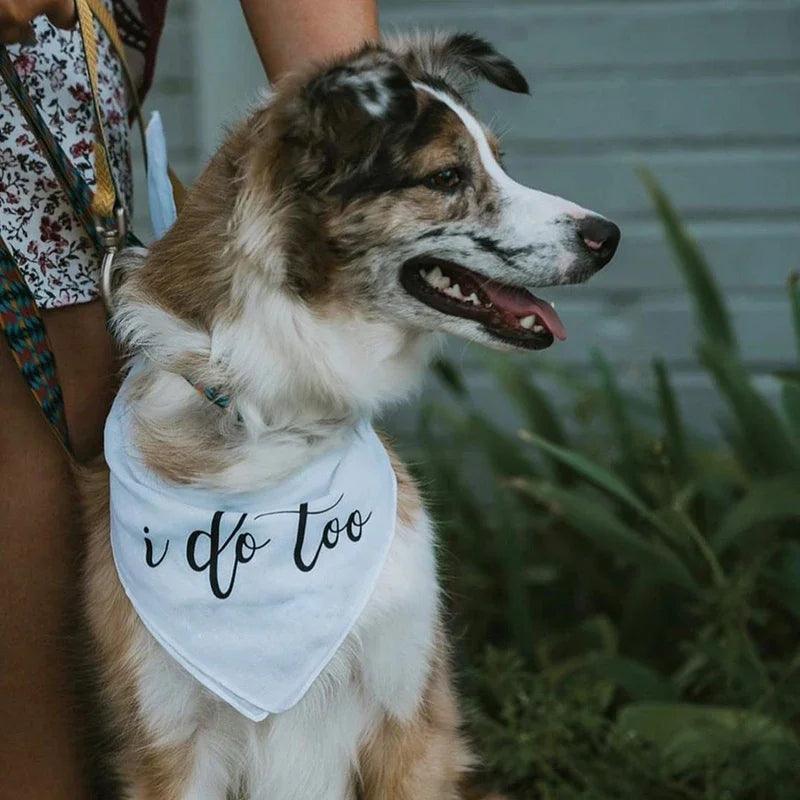 i do too doggy bandana - basil boutique