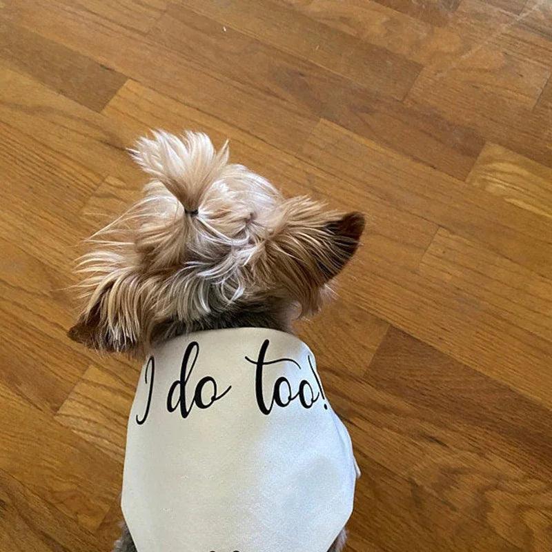 i do too doggy bandana - basil boutique