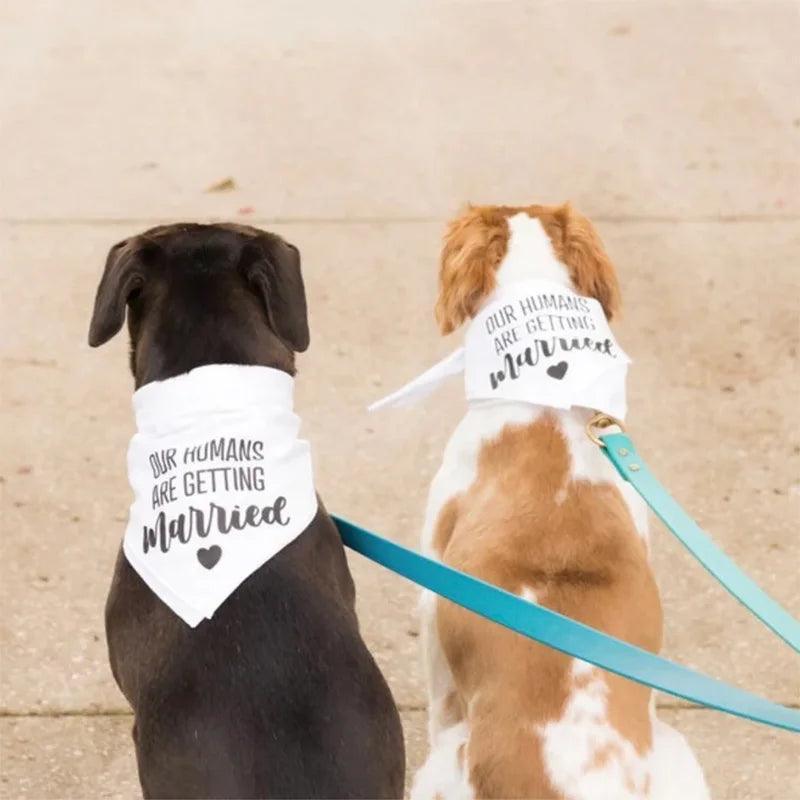 my + our humans are getting married dog bandanas - basil boutique