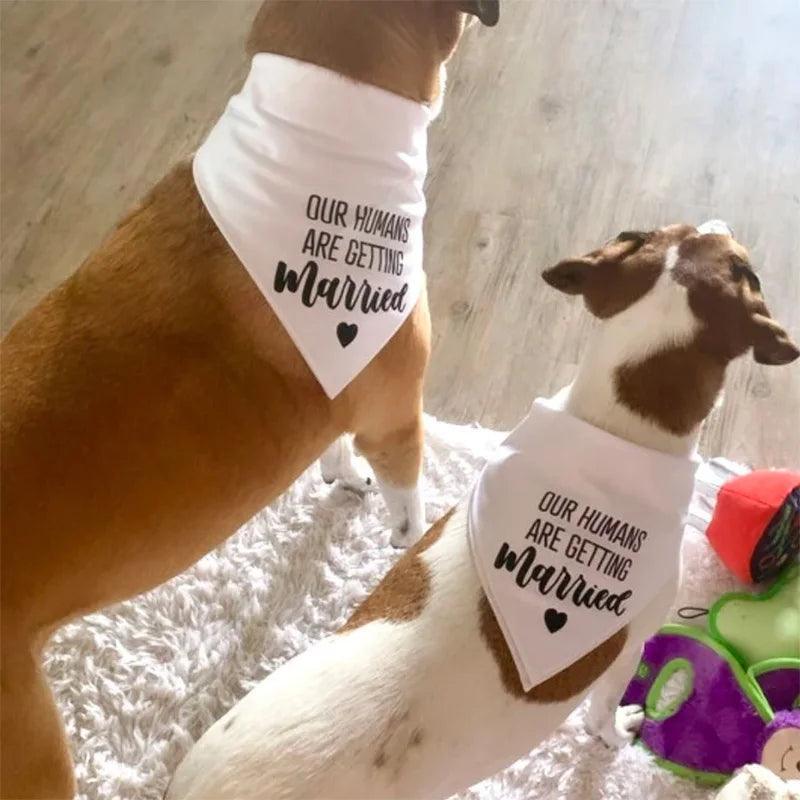 my + our humans are getting married dog bandanas - basil boutique