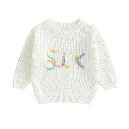 sprinkle birthday knit kids crew sweater - basil boutique